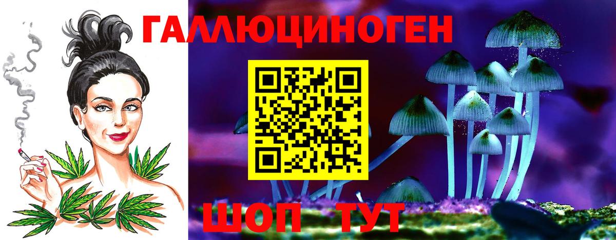 Галлюциногенные грибы MAGIC MUSHROOMS  Галлюциногенные грибы Magic Shrooms  Вход с VPN  Северск 