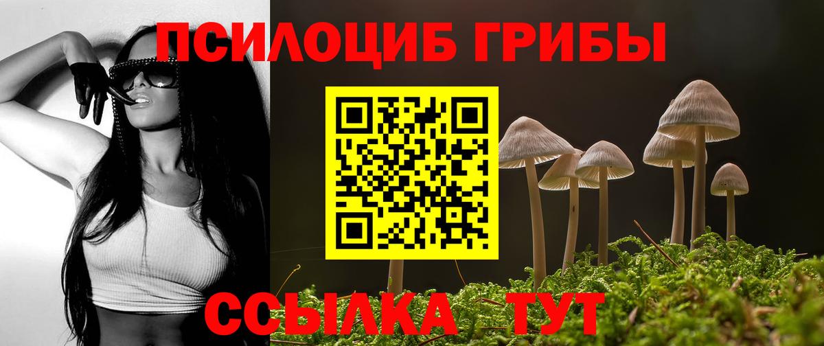 Псилоцибиновые грибы MAGIC MUSHROOMS Северск